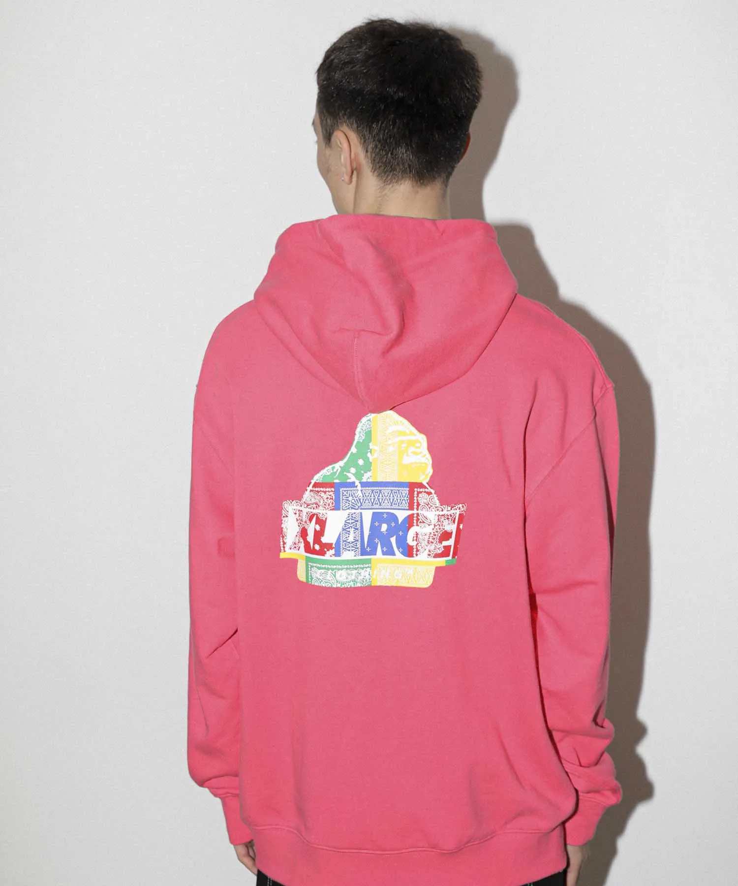 PAISLEY SLANTED OG PULLOVER HOODED SWEAT