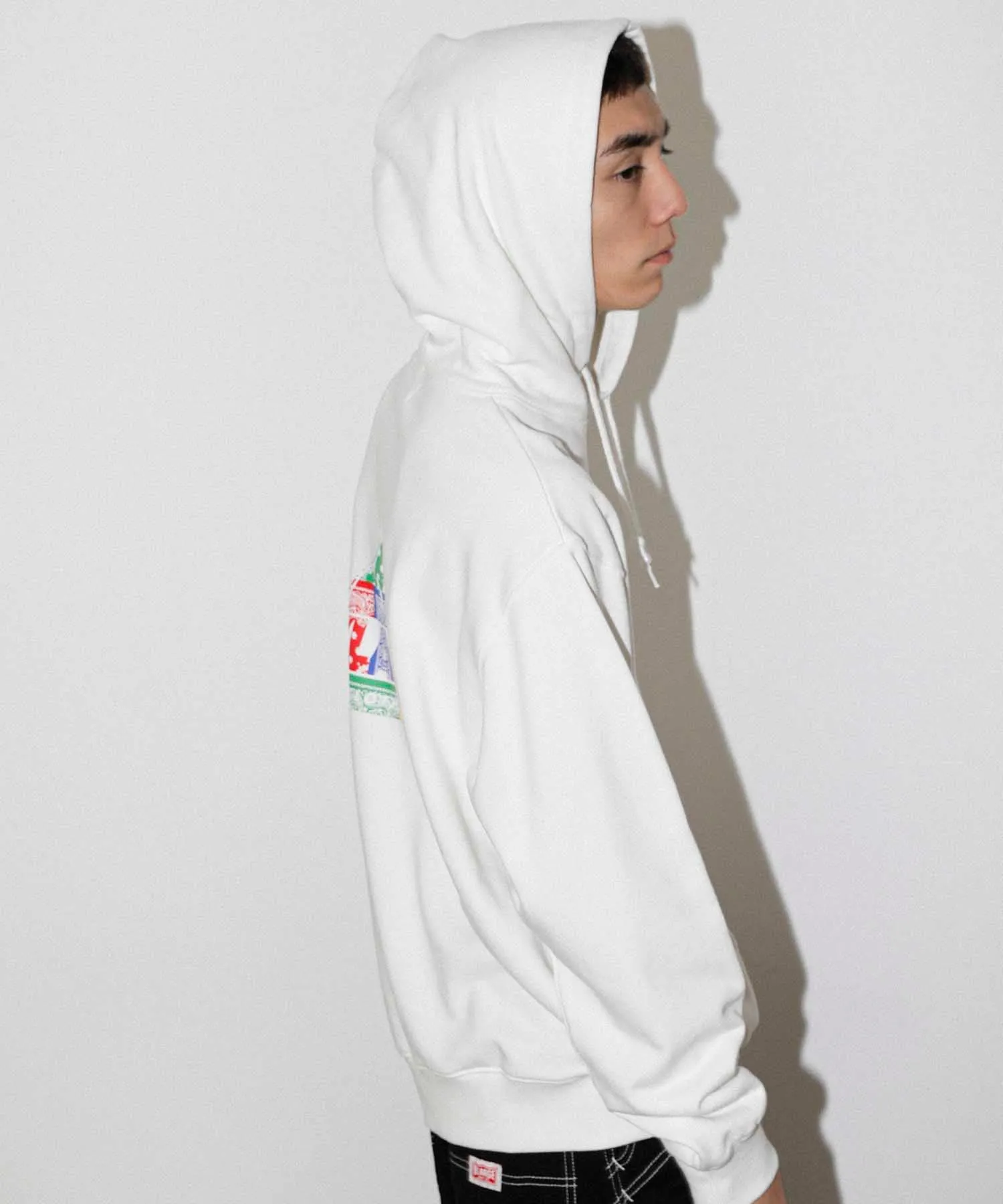 PAISLEY SLANTED OG PULLOVER HOODED SWEAT