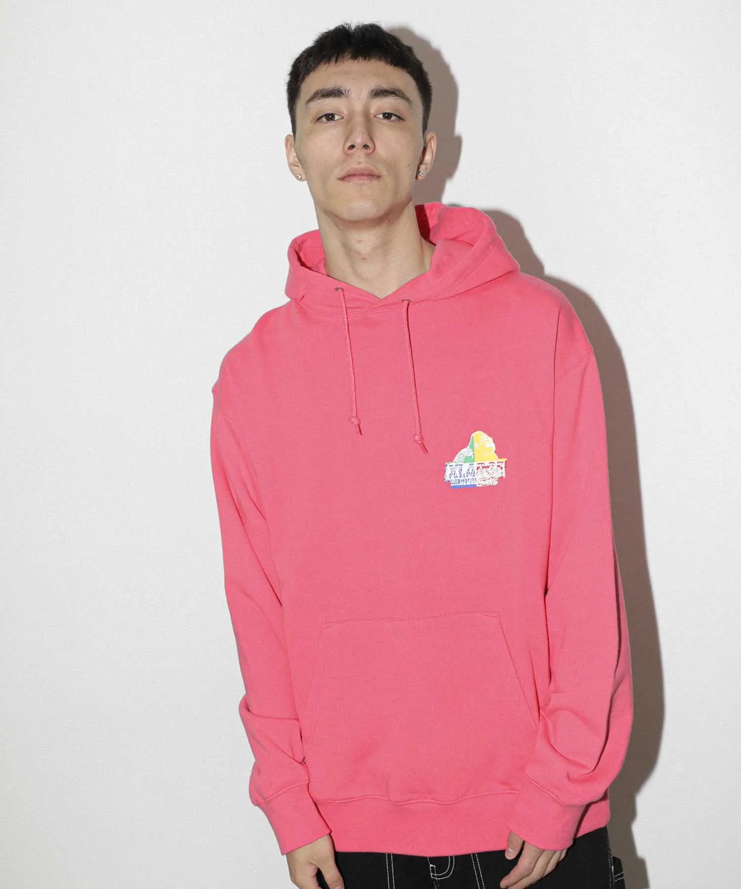 PAISLEY SLANTED OG PULLOVER HOODED SWEAT